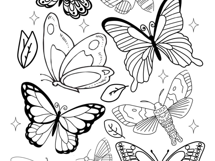 Free Simple Butterfly Coloring Pages Little Moon