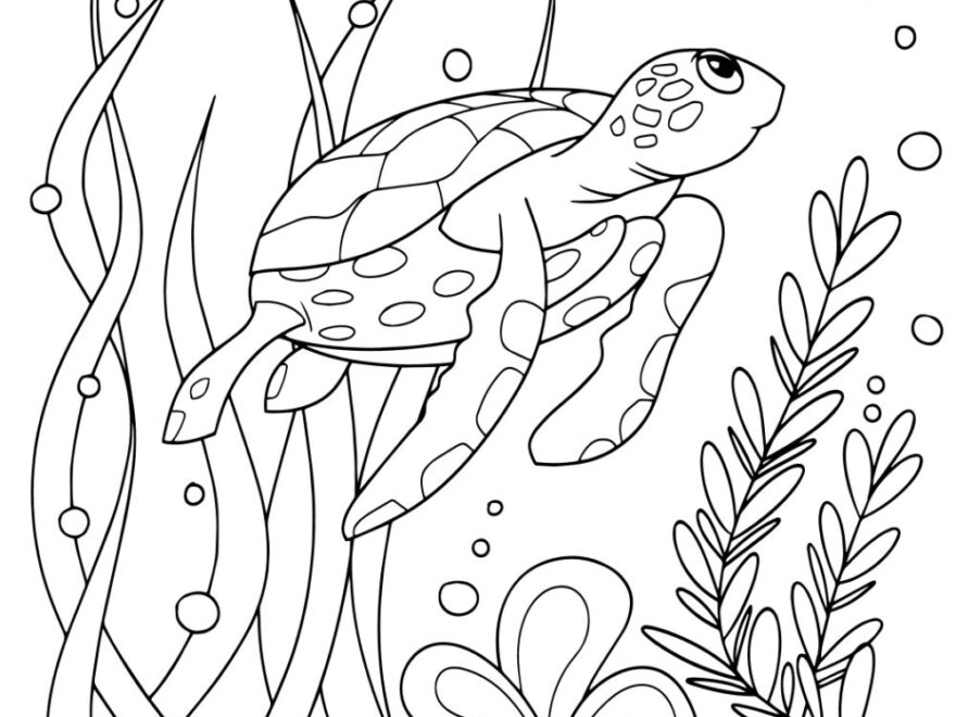 Free TURTLE Coloring Pages For Download Printable PDF