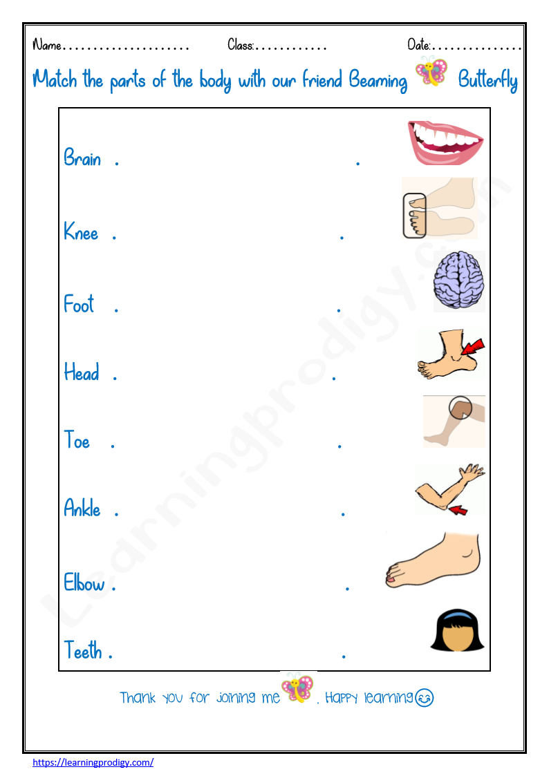 Freeprintable Science Worksheet For Grade 1 Archives LearningProdigy Freeprintable Science Worksheet For Grade 1 Archives LearningProdigy