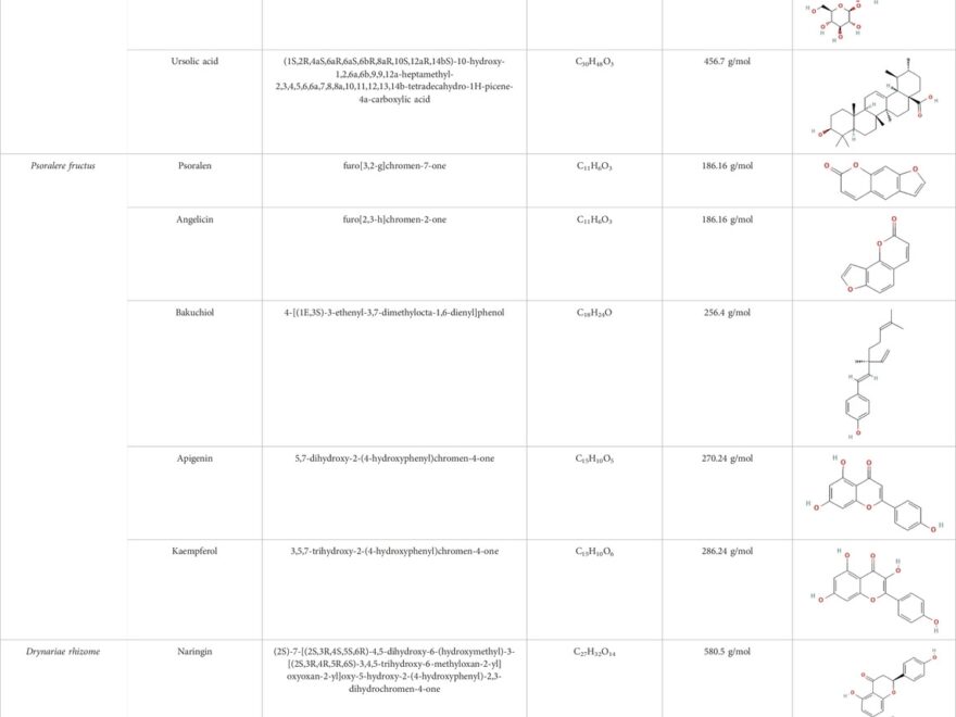 Frontiers Therapeutic Potential Of Chinese Medicinal Herbs Stimulating Osteogenic Differentiation Of Bone Marrow derived Mesenchymal Stem Cells In Osteoporosis