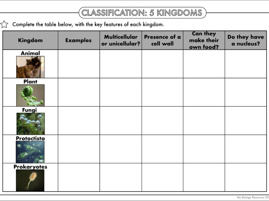 GCSE Biology Classification Worksheet Pack Teaching Resources