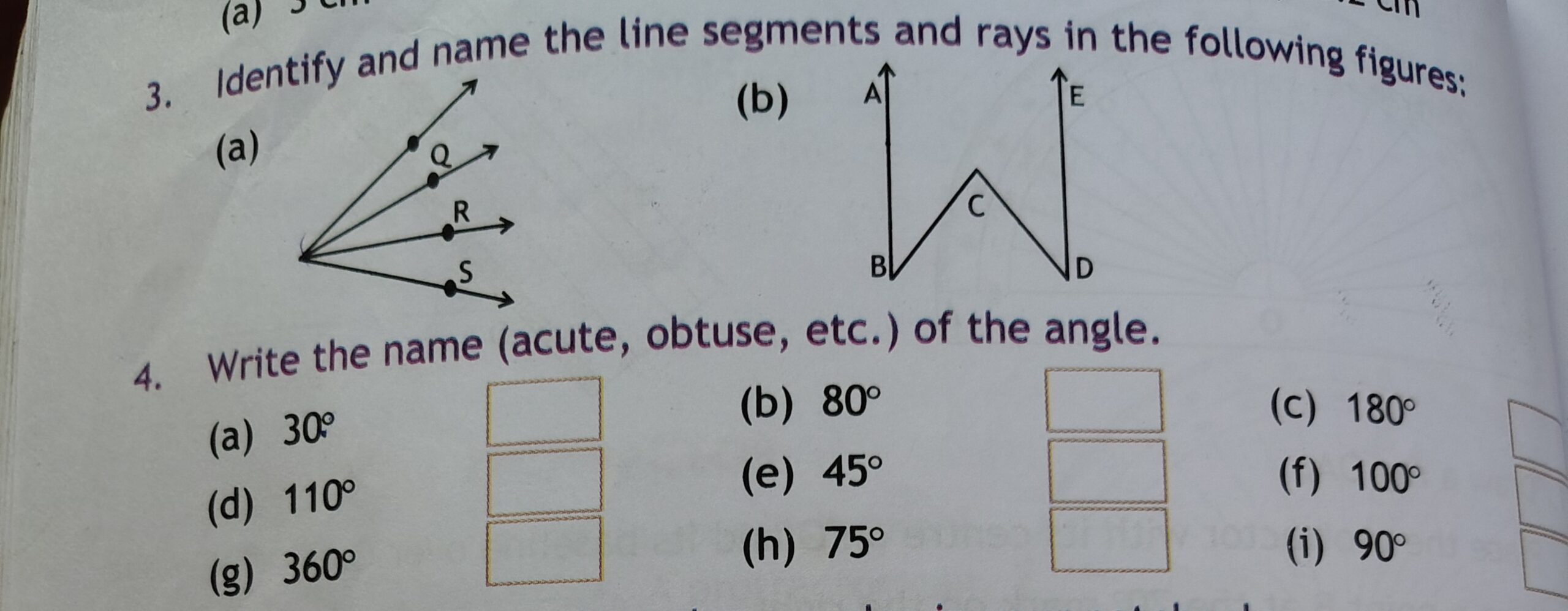 Identify And Name The Line Segments And Rays In The Following Figures a 
