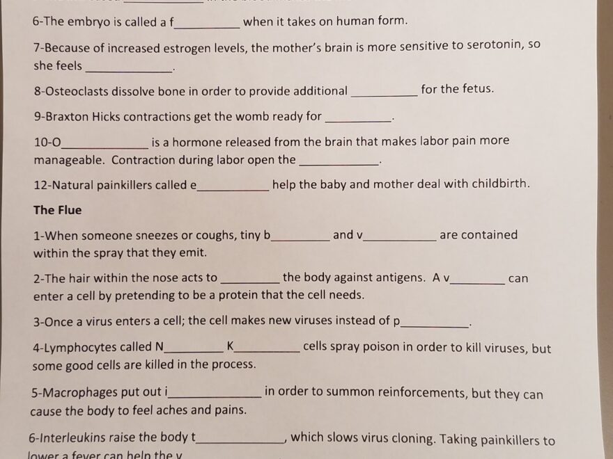 In The Womb Answer Key Fill Online Printable Fillable Blank Worksheets Library
