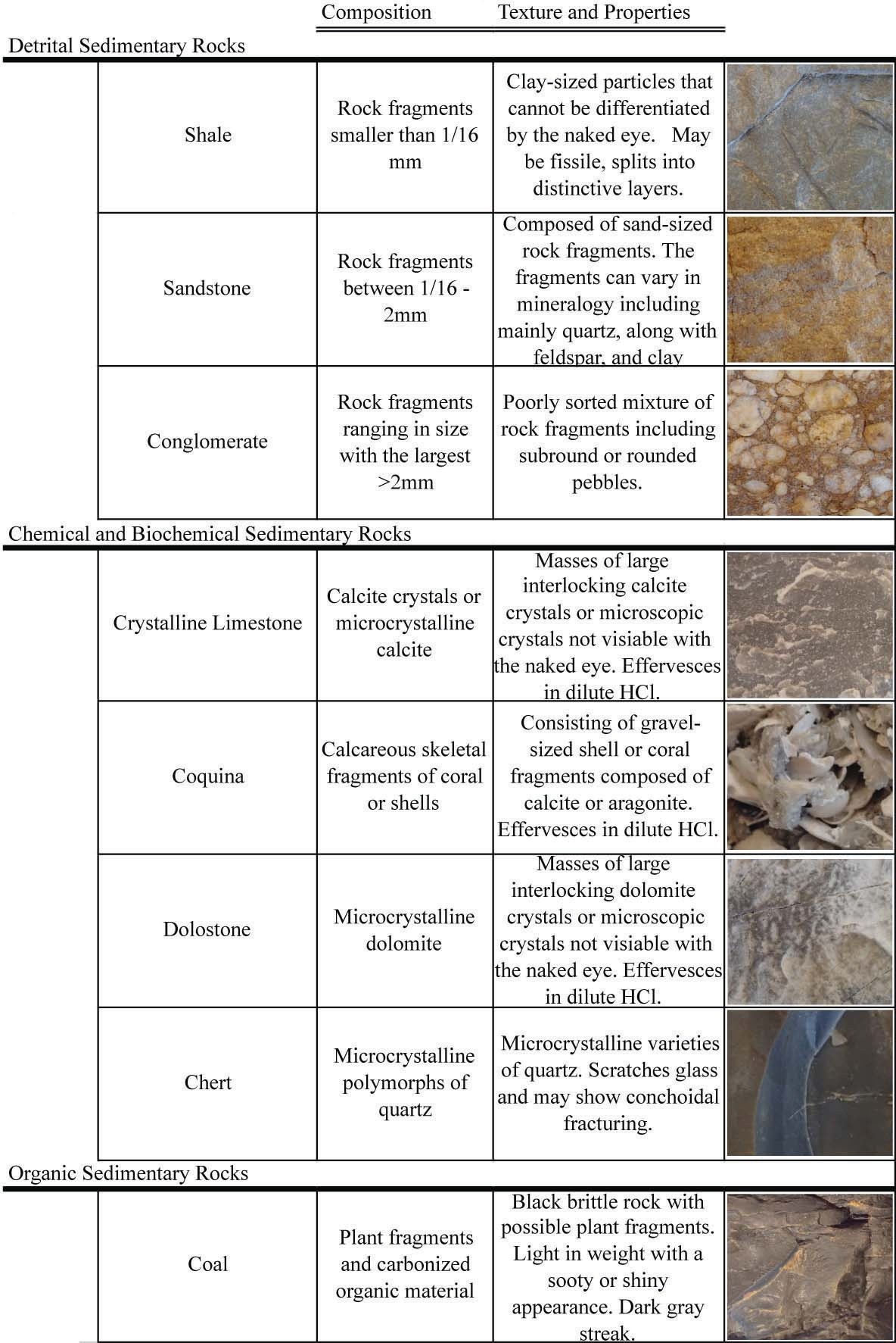 Lab 4 Reading Sedimentary Rocks Earth And Our Environment Laboratory Manual Lab 4 Reading Sedimentary Rocks Earth And Our Environment Laboratory Manual