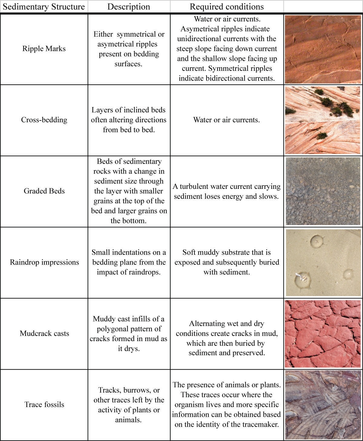 Lab 4 Reading Sedimentary Rocks Earth And Our Environment Laboratory Manual Lab 4 Reading Sedimentary Rocks Earth And Our Environment Laboratory Manual