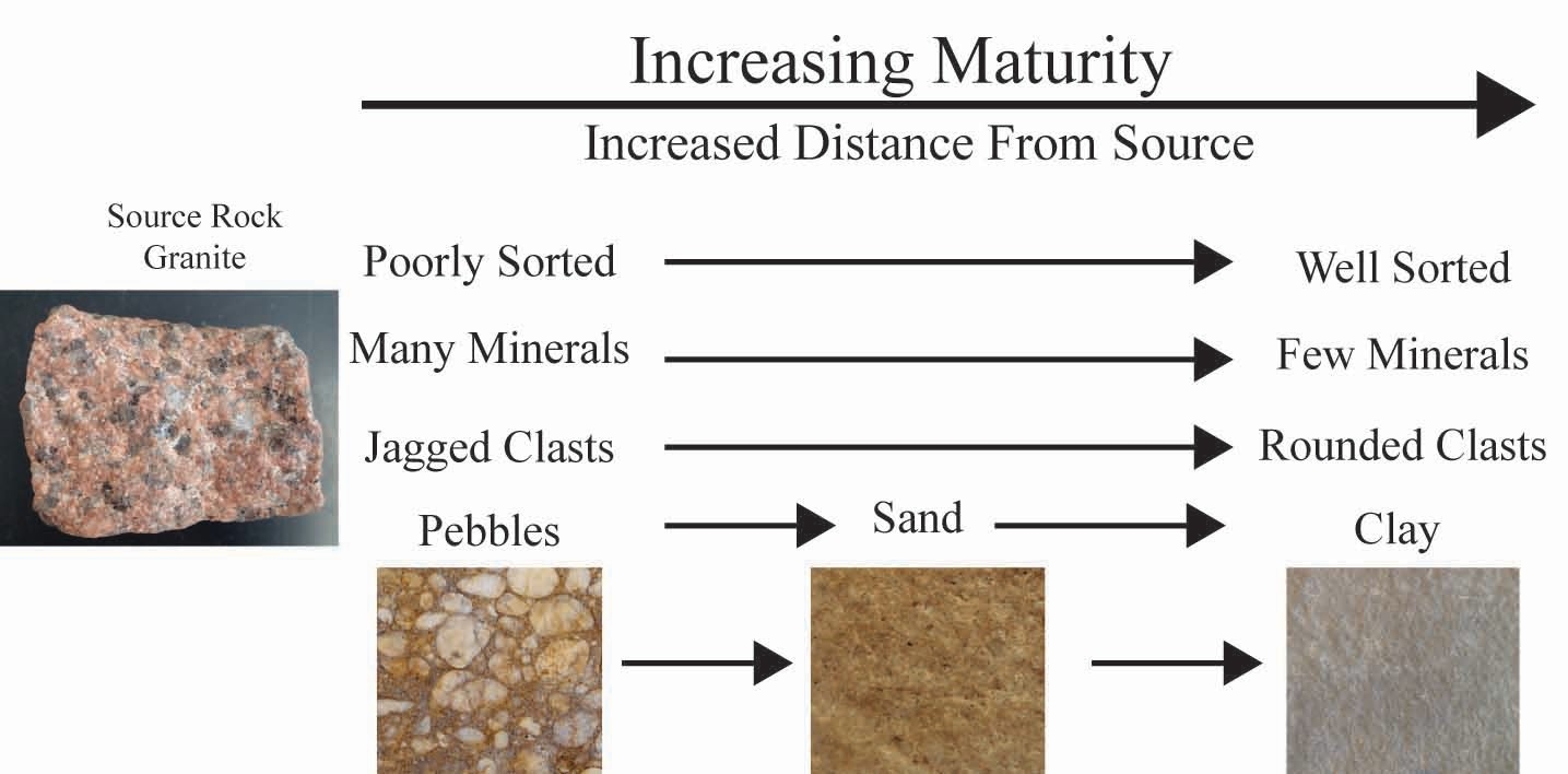 Lab 4 Reading Sedimentary Rocks Earth And Our Environment Laboratory Manual Lab 4 Reading Sedimentary Rocks Earth And Our Environment Laboratory Manual