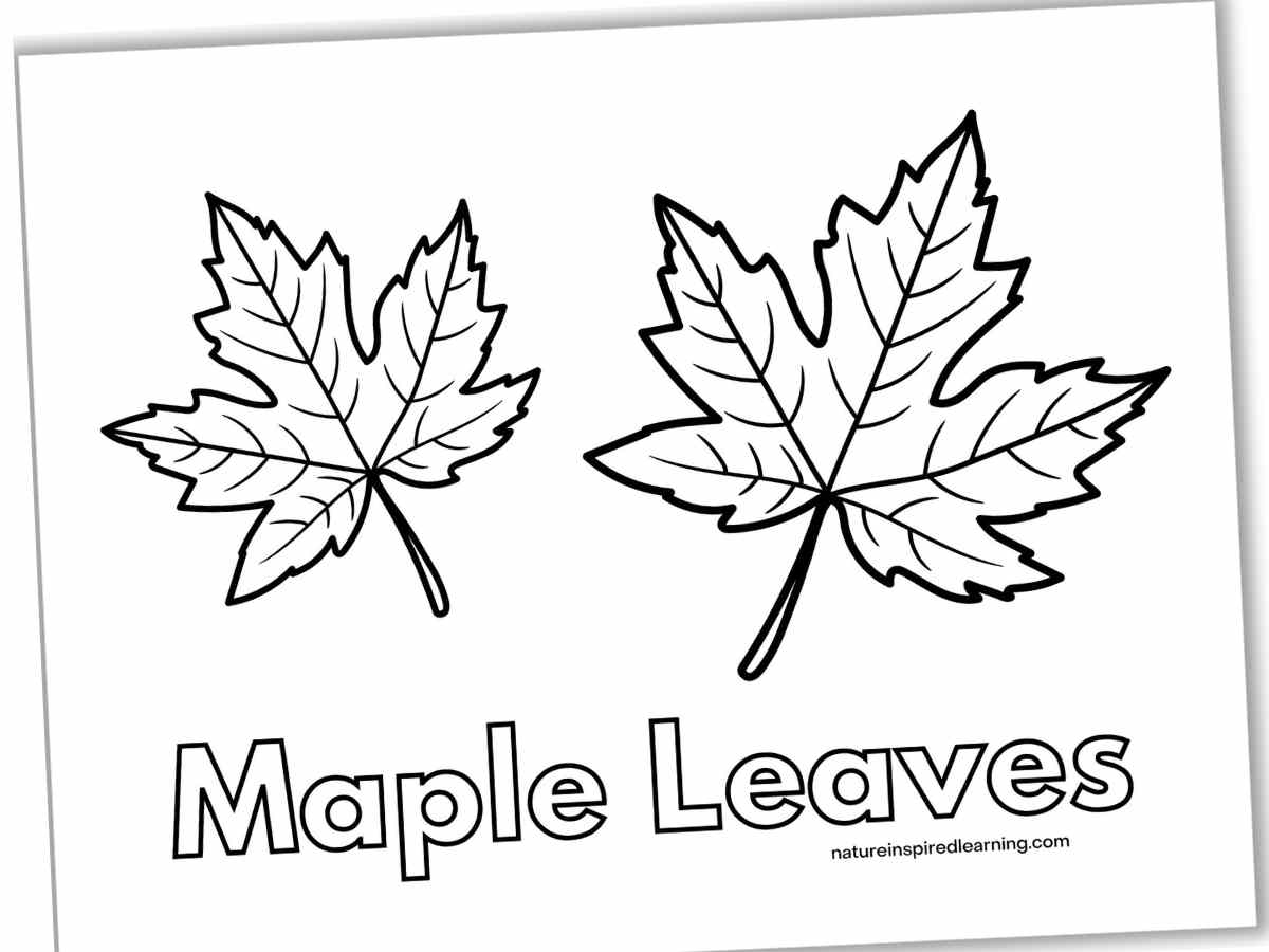 Leaf Coloring Pages Nature Inspired Learning Leaf Coloring Pages Nature Inspired Learning
