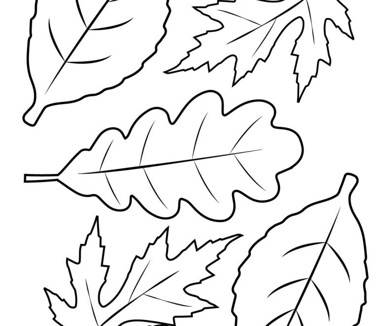 Leaf Outlines Templates Coloring Pages 55 FREE Pages Printabulls