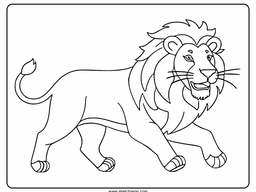 Lion Coloring Pages Sketch Repo