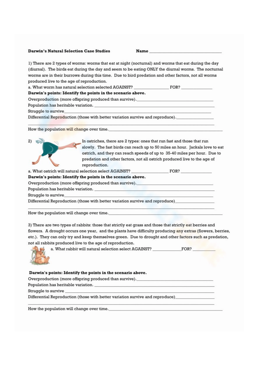 Natural Selection Worksheets Printable