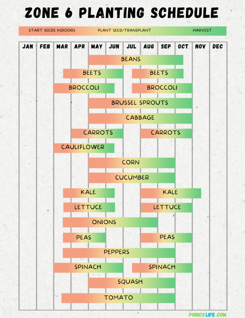 Ohio Vegetable Planting Calendar A Quick And Easy Guide