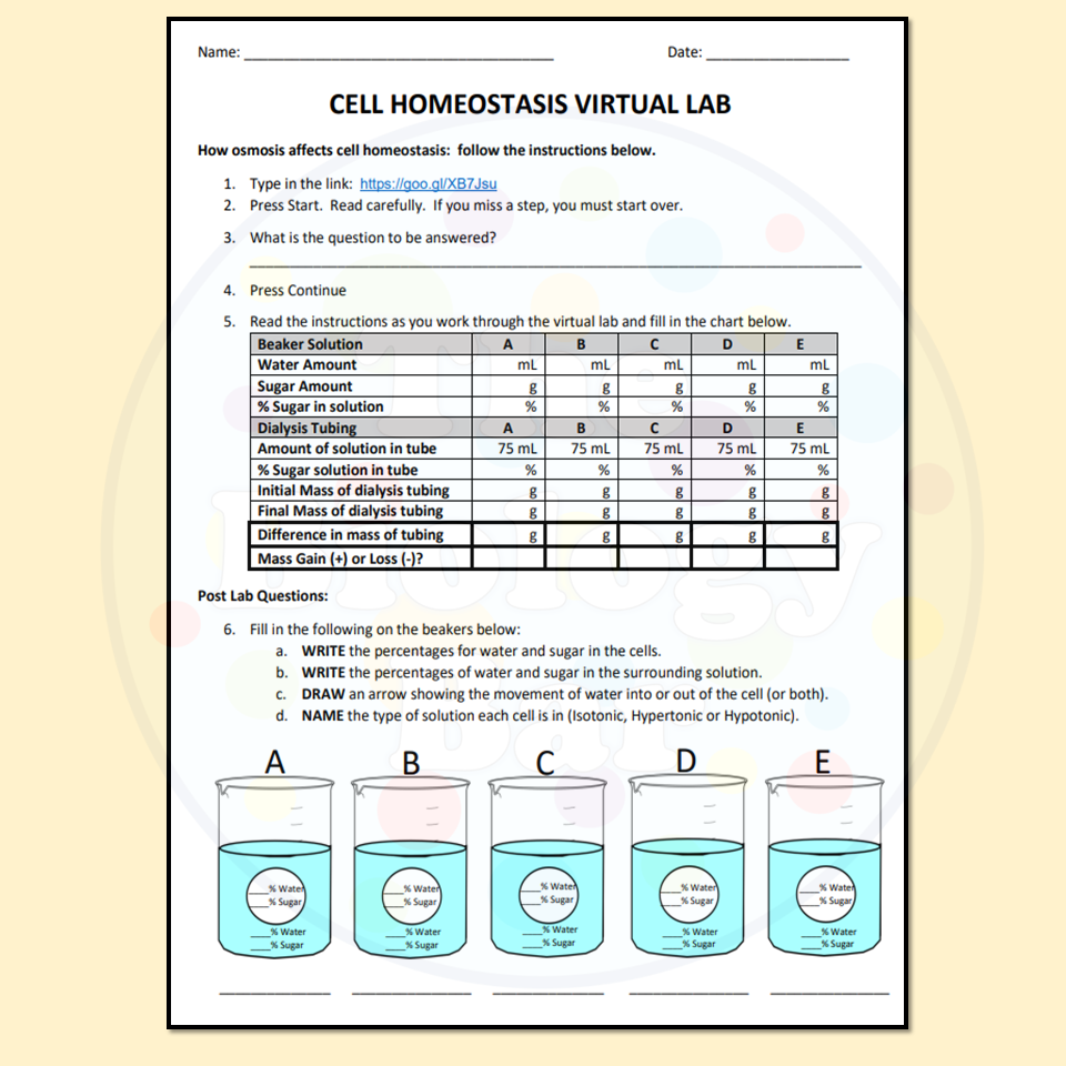 Osmosis Homeostasis Virtual Lab Made By Teachers