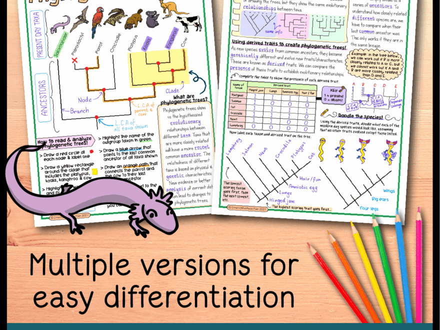 Phylogenetic Trees Lesson Bundle Emmatheteachie Resources