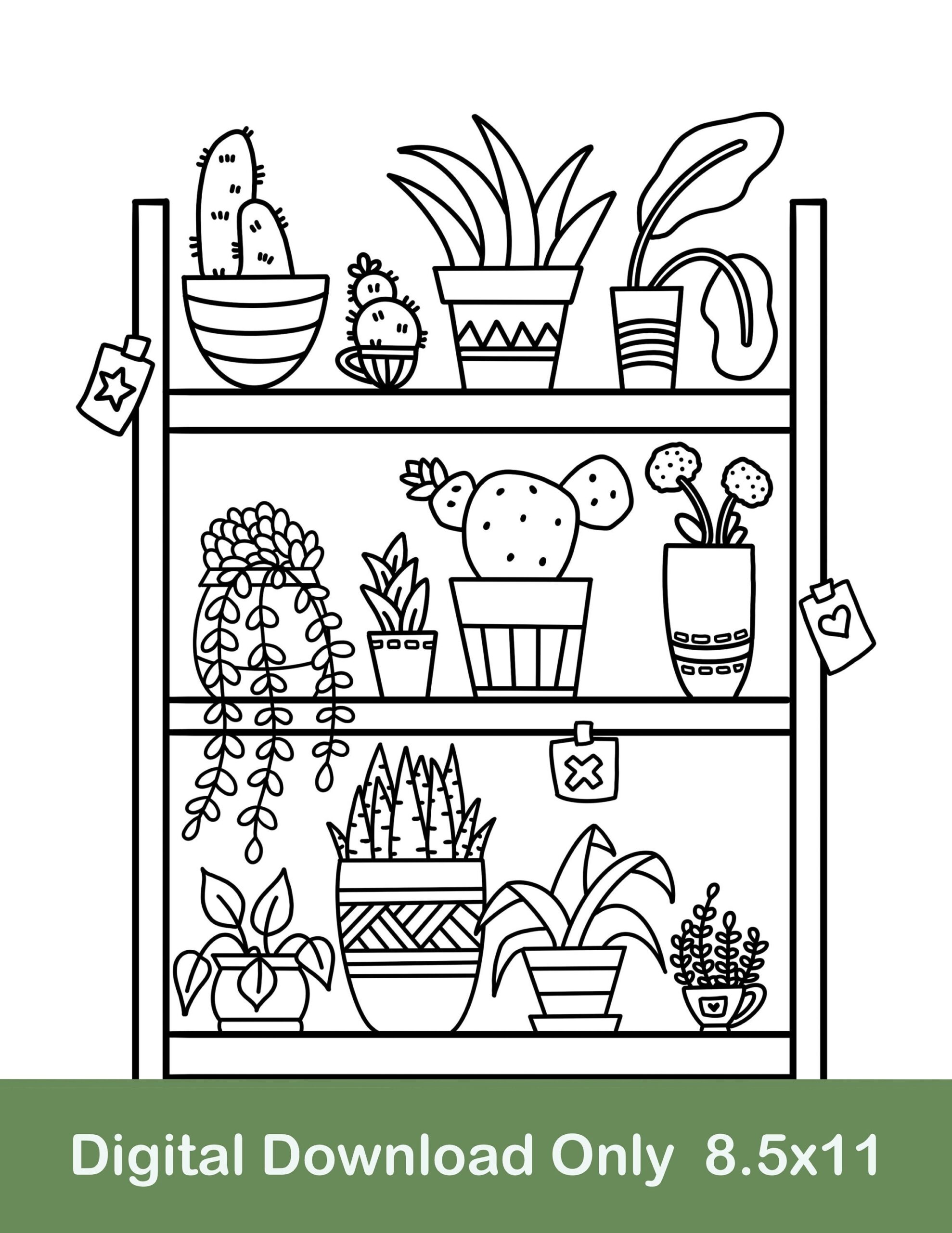 Plant Shelf Printable Coloring Page Potted Plant Coloring Page Cactus Coloring Page Digital Download Etsy