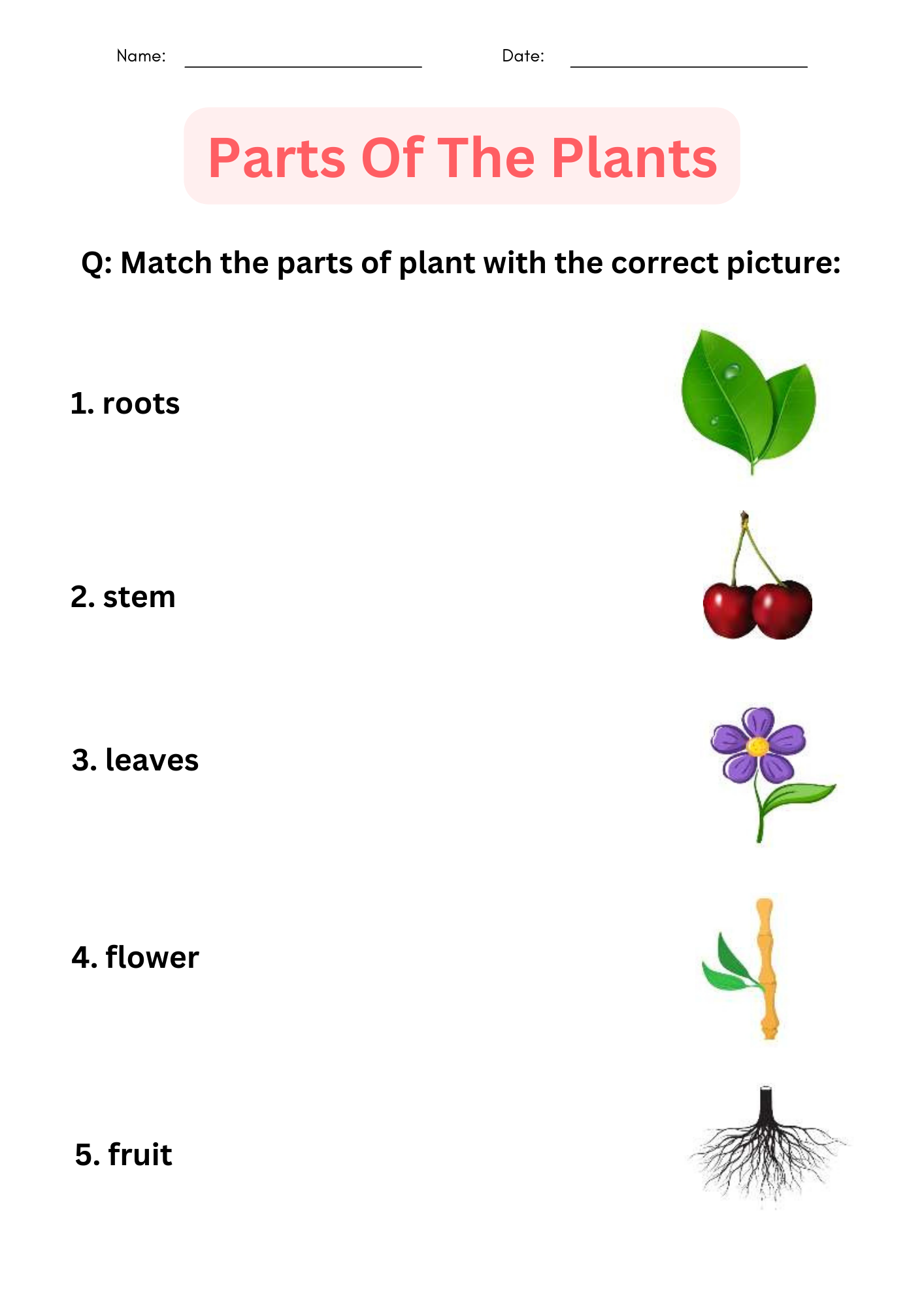 Printable Activities Parts Of A Plant Worksheet For Kindergarten Made By Teachers Printable Activities Parts Of A Plant Worksheet For Kindergarten Made By Teachers