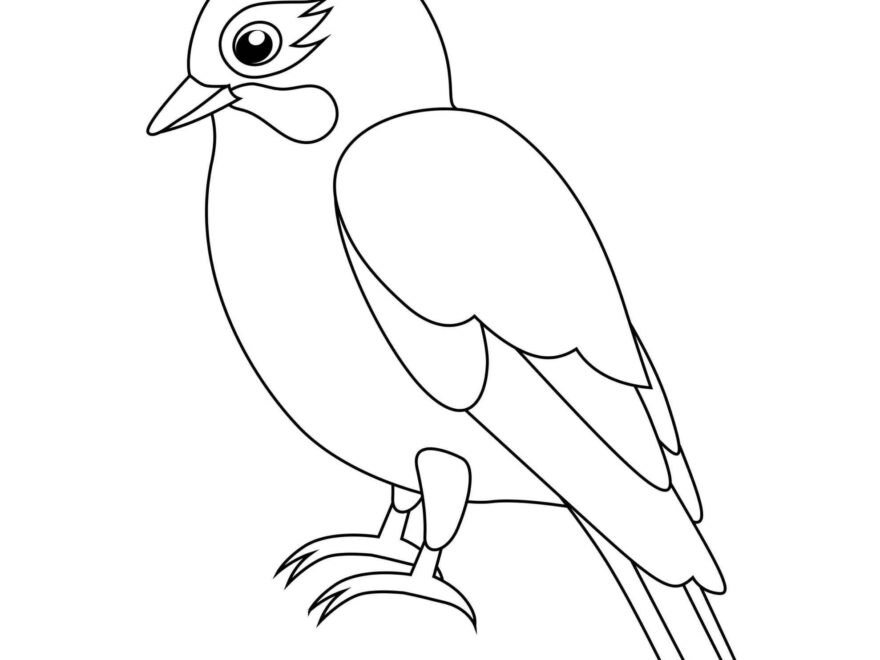 Printable Bird Colouring Pages For Your Child