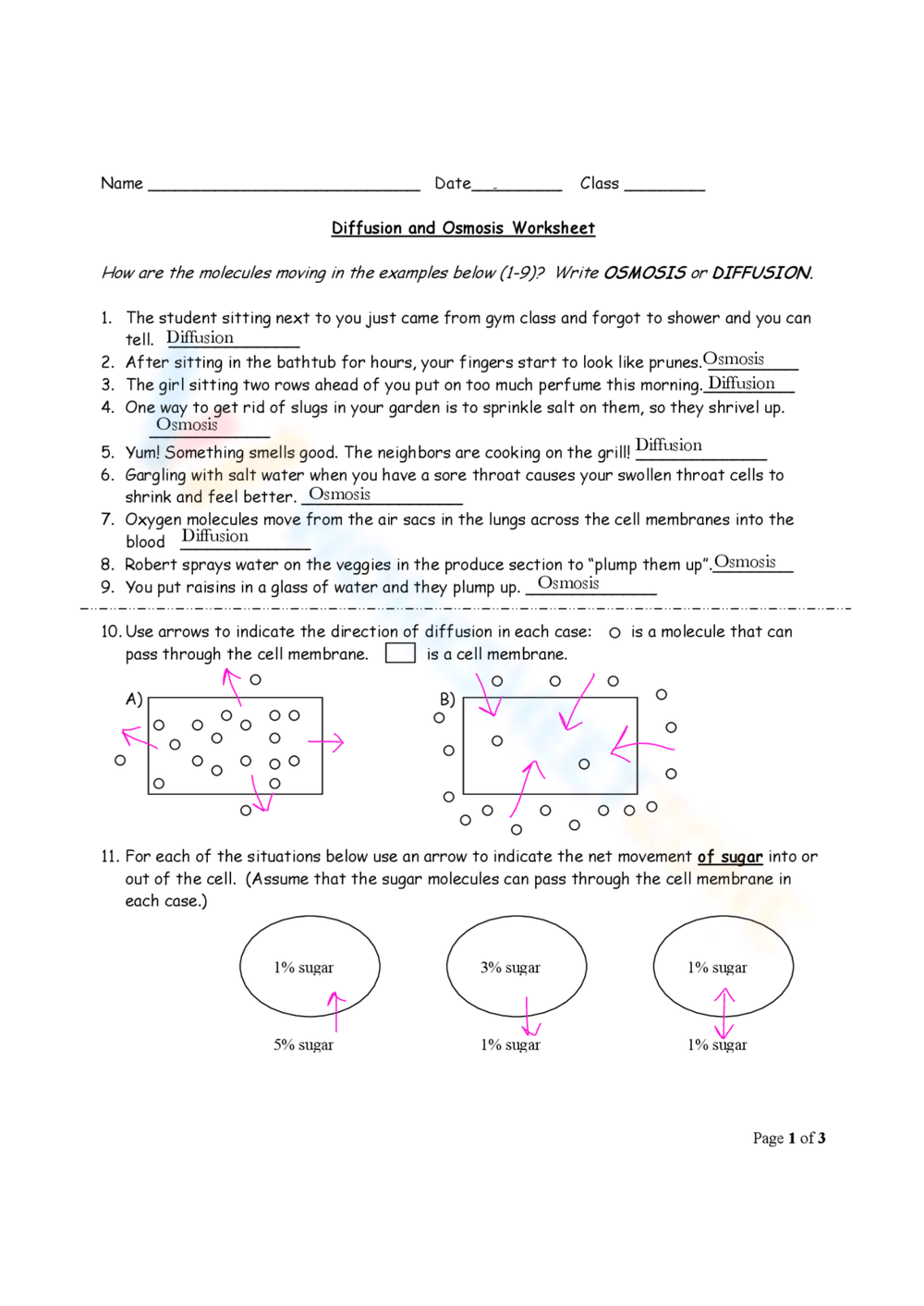 Printable Grade 9 Diffusion And Osmosis Worksheets