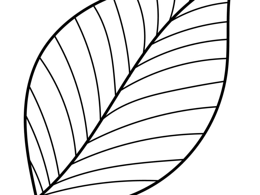 Printable Leaf Outline Templates Crafty Morning