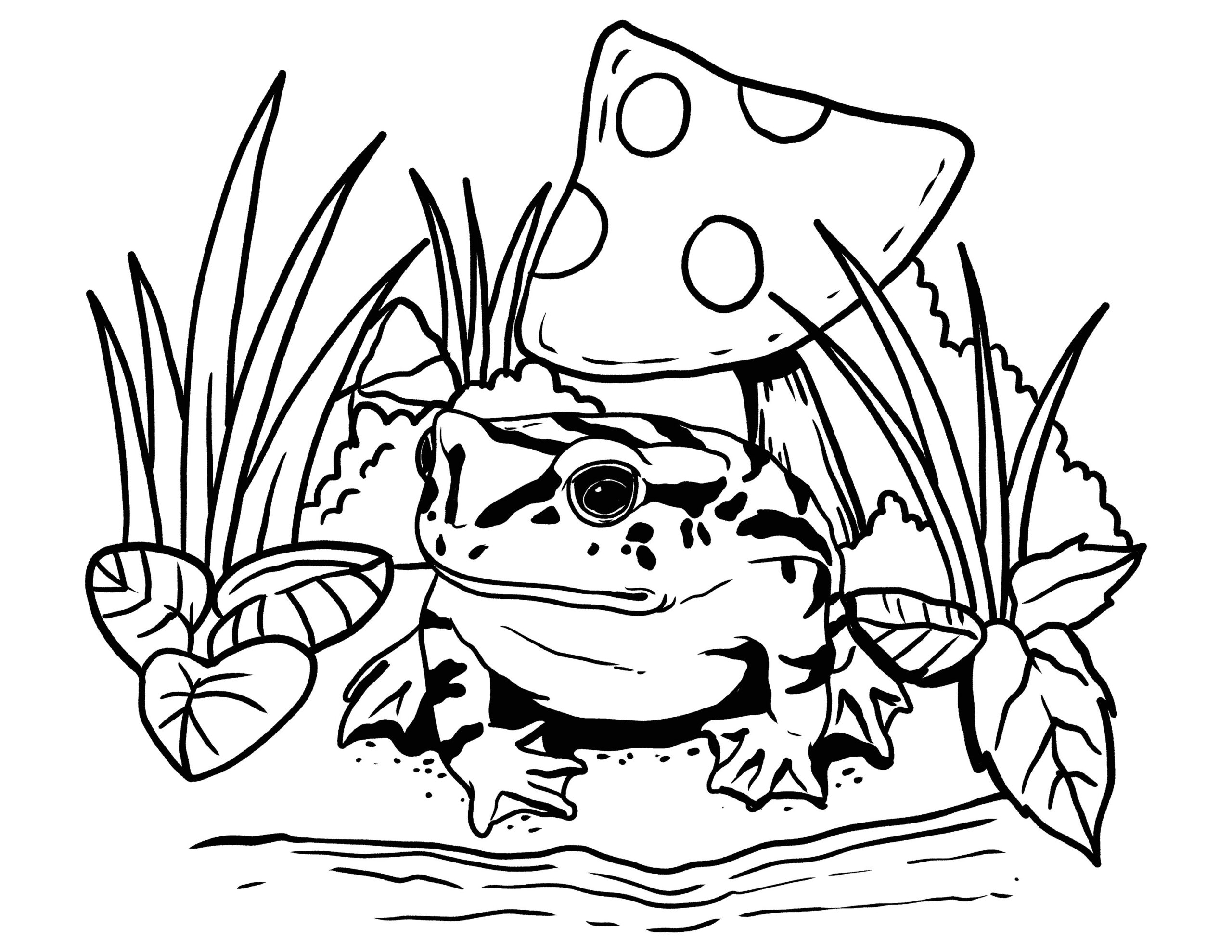 Printable Mushroom And Frog Coloring Page Frogs Lovers Digital Download Spring Coloring Instant PDF Etsy