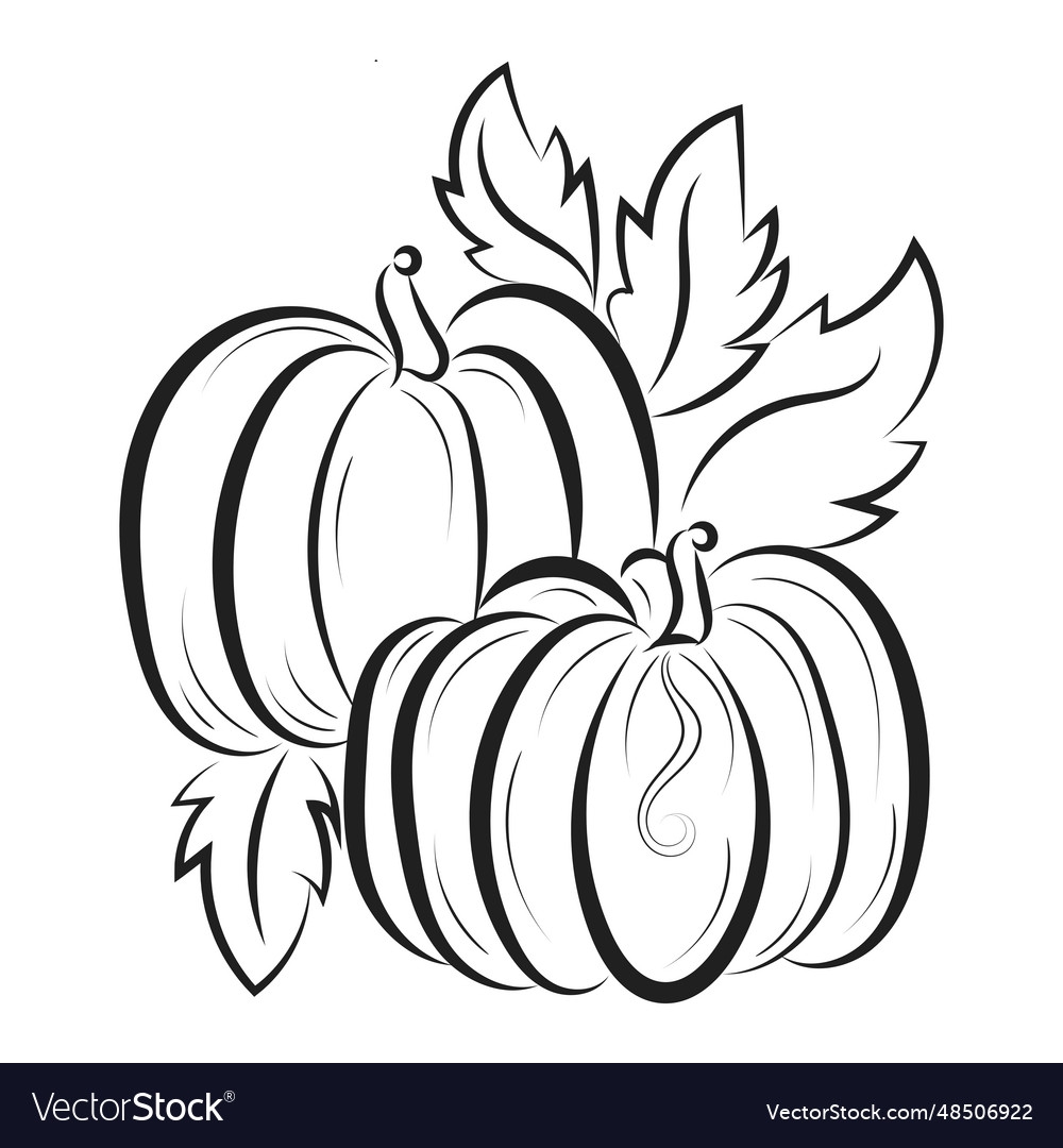 Printable Pumpkin Coloring Pages For Kids Vector Image