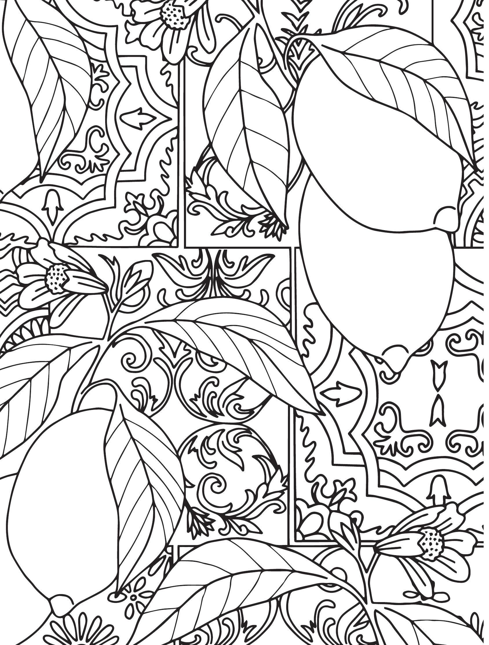 coloring pages printable for adults