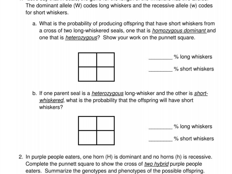 Punnett Square Practice