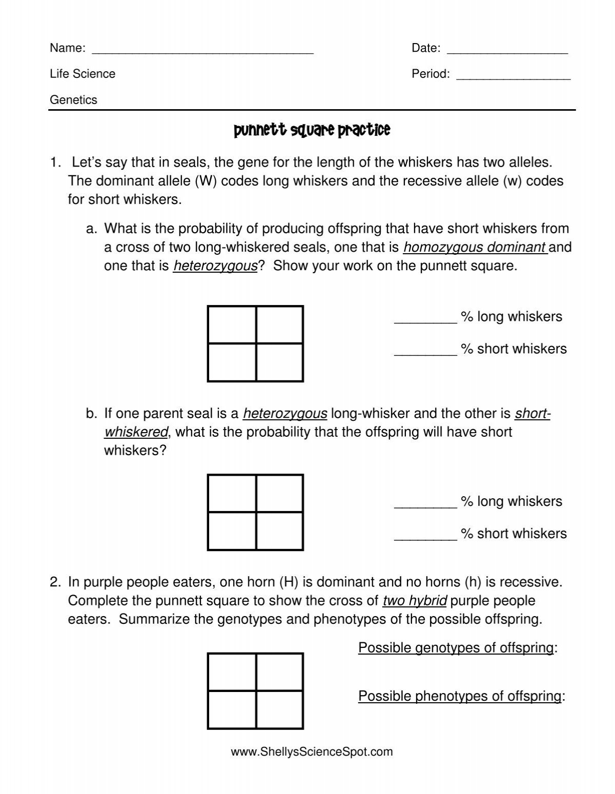 Punnett Square Practice Punnett Square Practice