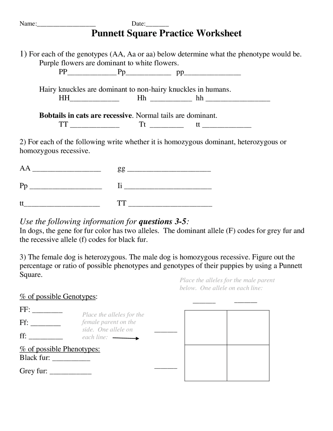 punnett square practice worksheet answer key punnett square practice worksheet answer key