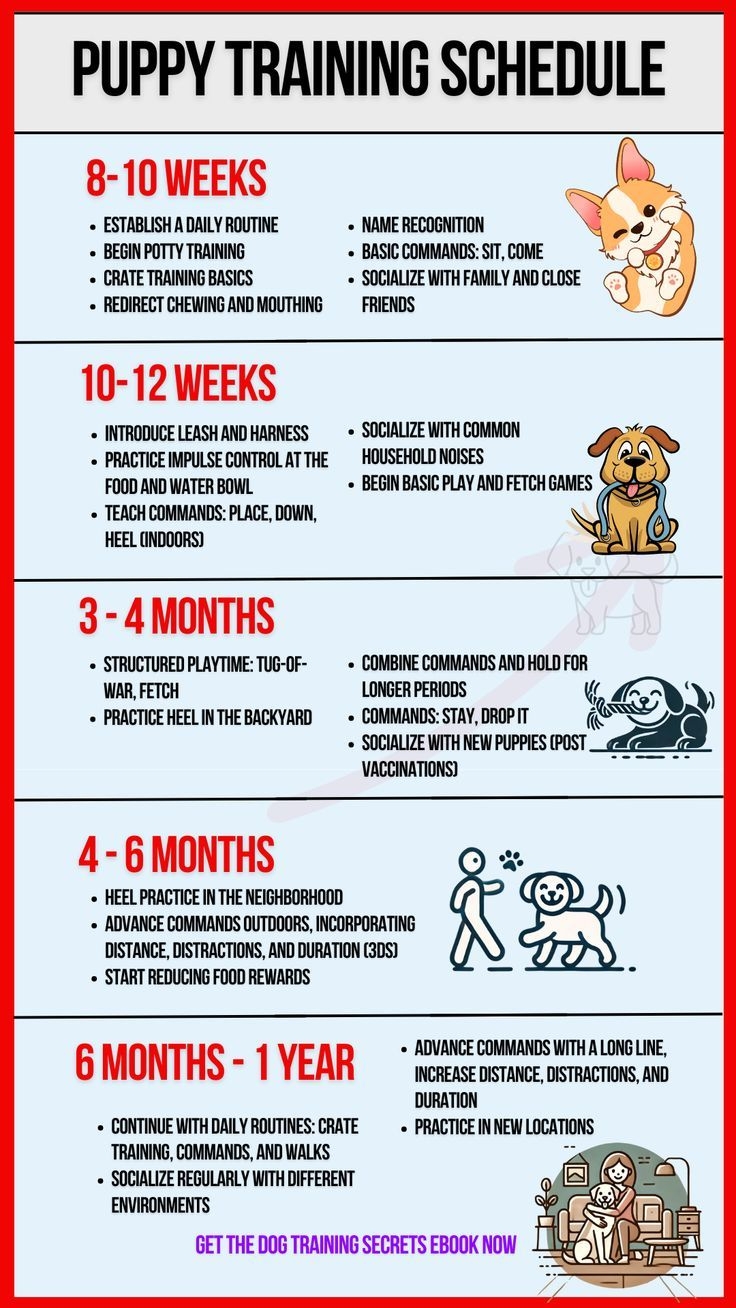 Puppy Training Schedule Puppy Training Schedule