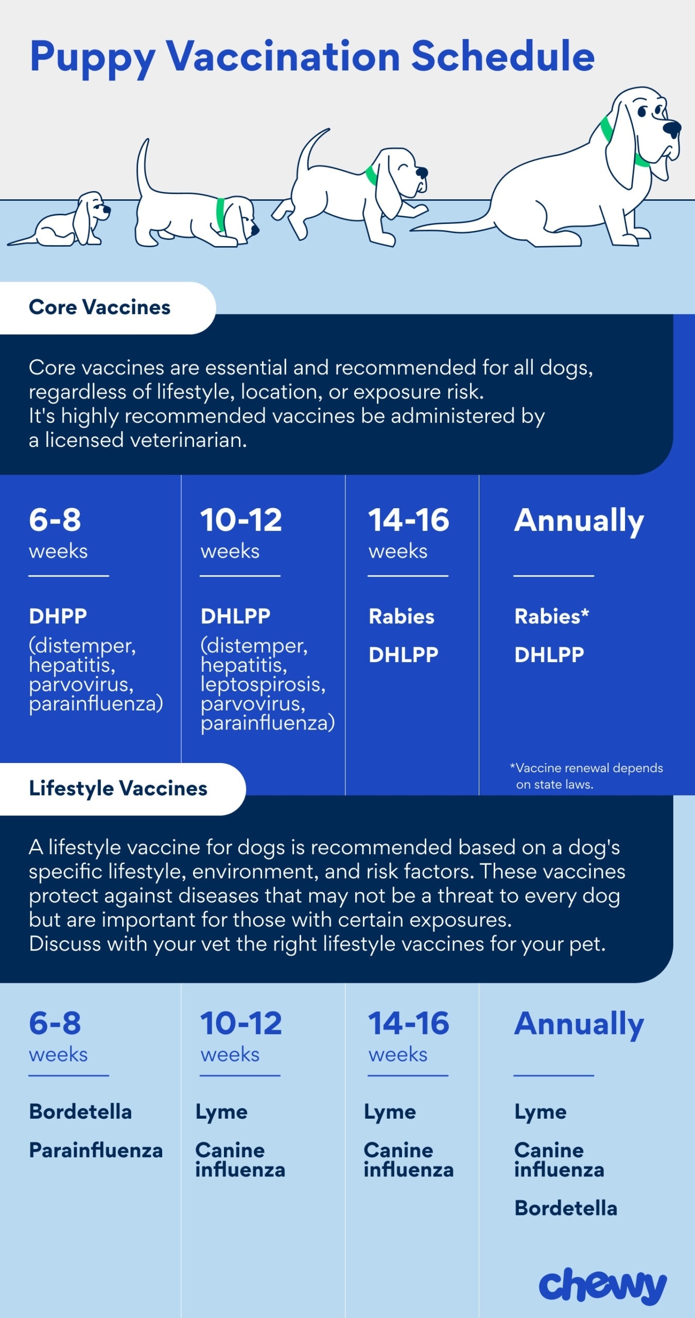Puppy Vaccine Schedule A Guide To Puppy Shots Chewy Puppy Vaccine Schedule A Guide To Puppy Shots Chewy