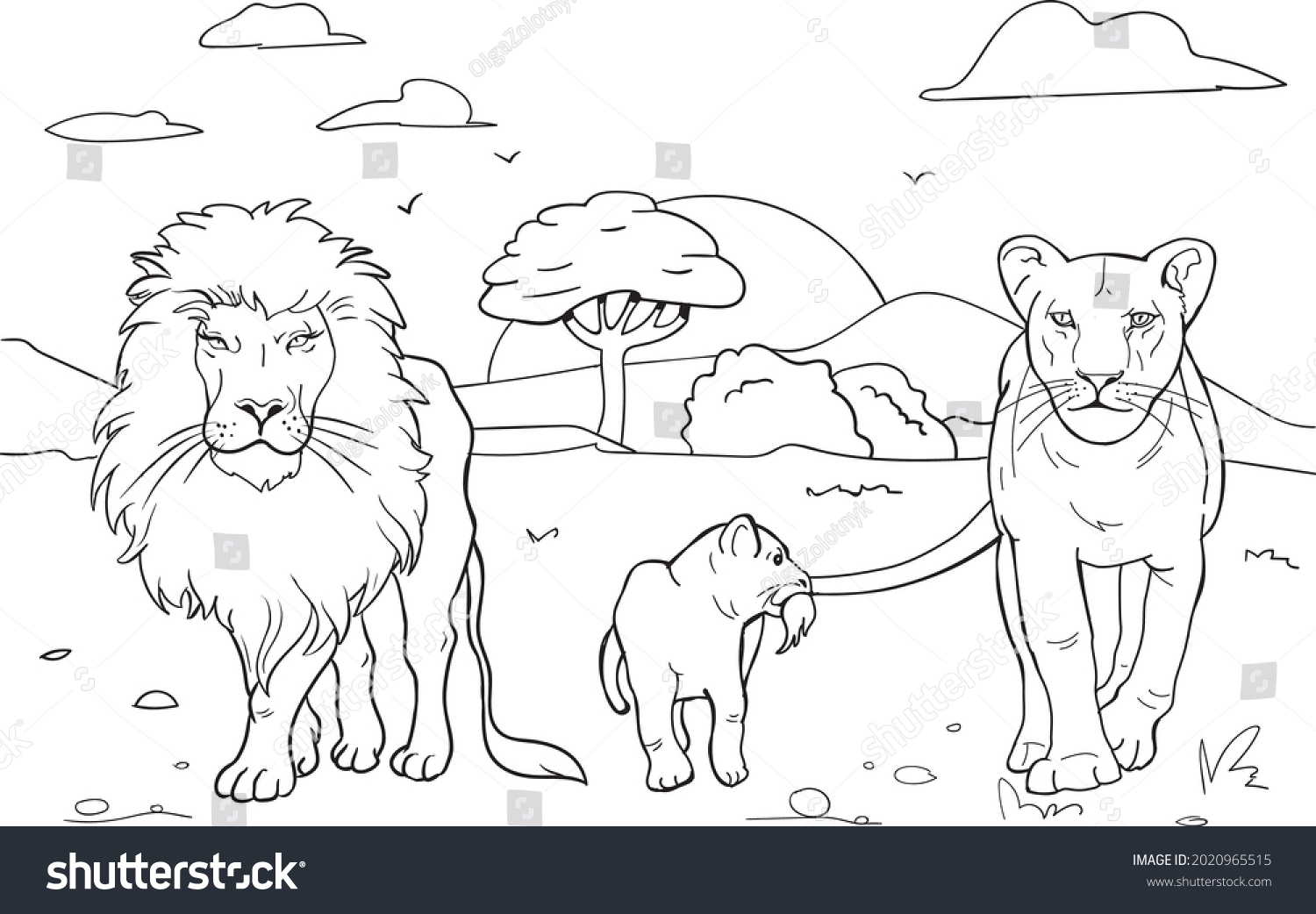 coloring pages of lions coloring pages of lions
