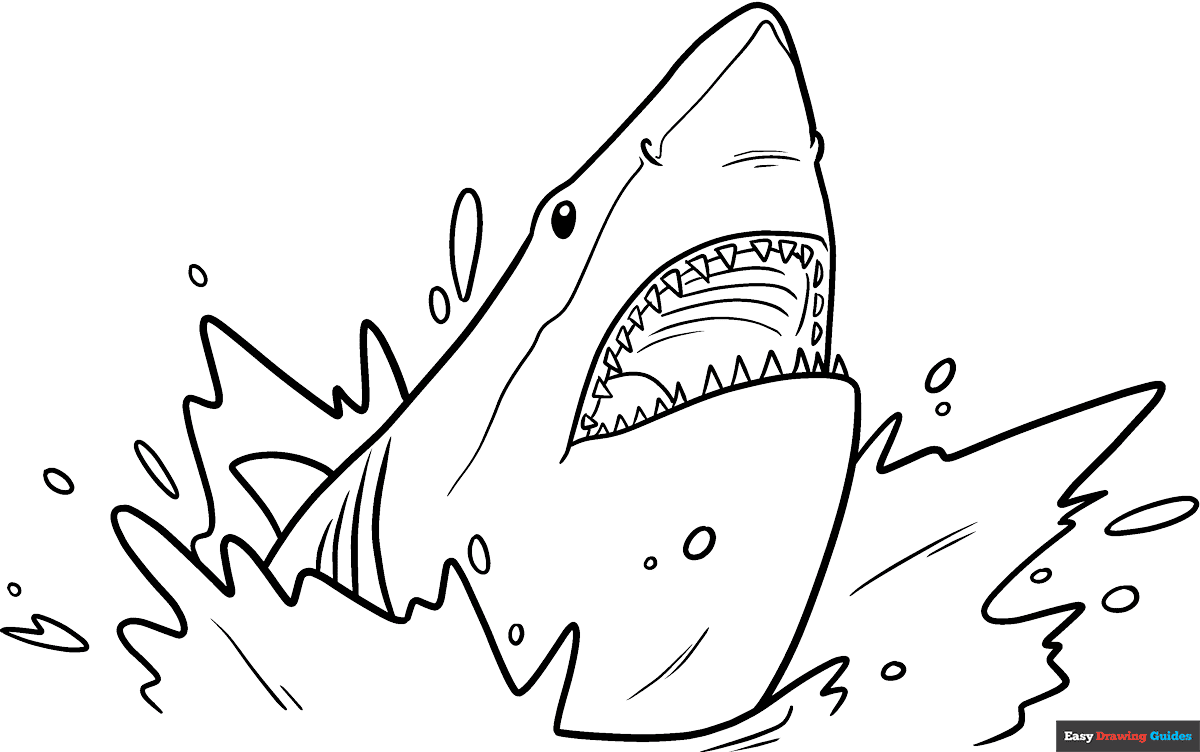 Shark Head Coloring Page Easy Drawing Guides