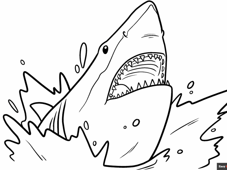 Shark Head Coloring Page Easy Drawing Guides