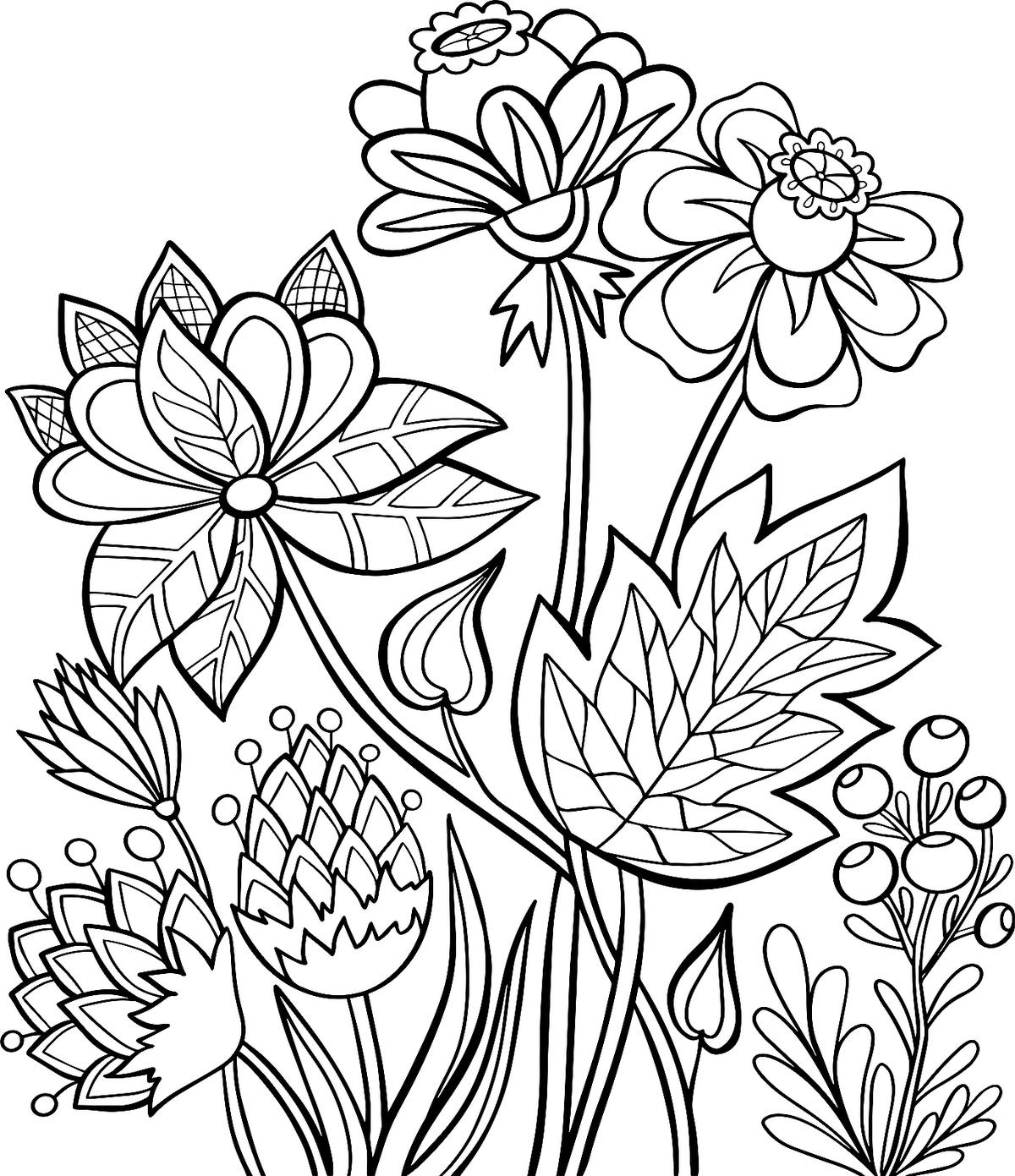 free printable flower pictures to color