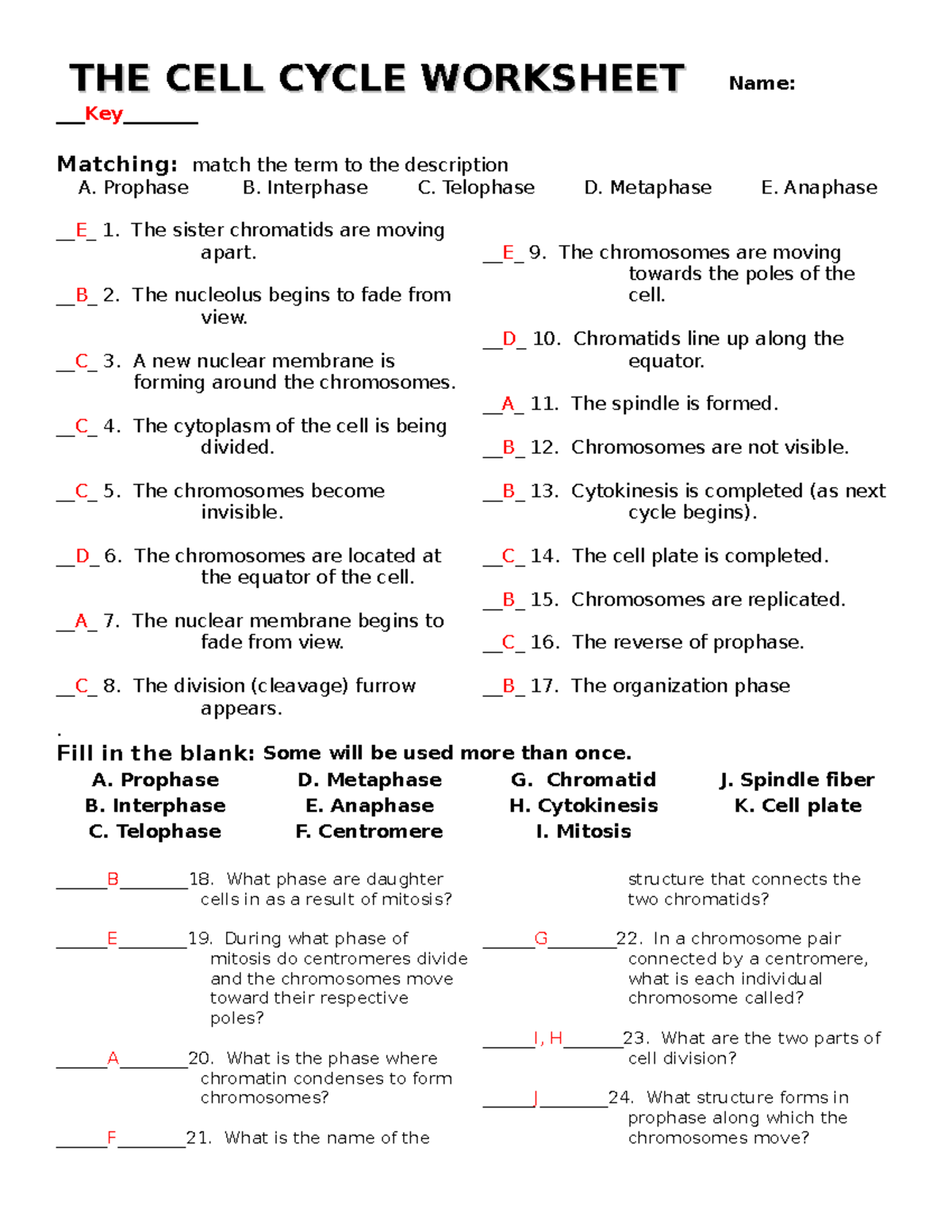 The cell cycle worksheet With Answers THE CELL CYCLE WORKSHEETTHE CELL CYCLE WORKSHEET Name Studocu The cell cycle worksheet With Answers THE CELL CYCLE WORKSHEETTHE CELL CYCLE WORKSHEET Name Studocu