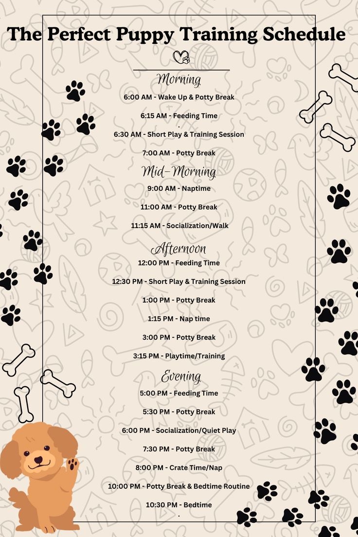 The Perfect Puppy Training Schedule The Perfect Puppy Training Schedule