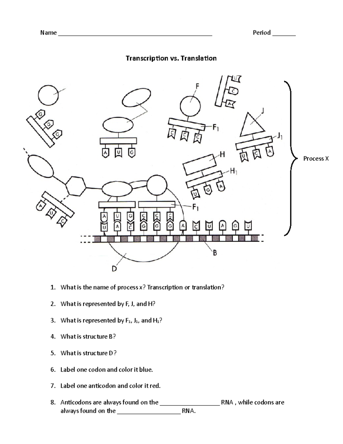 Transcription Vs Translation Worksheet Name Period Transcription Vs Translation Process X 1 What Studocu Transcription Vs Translation Worksheet Name Period Transcription Vs Translation Process X 1 What Studocu