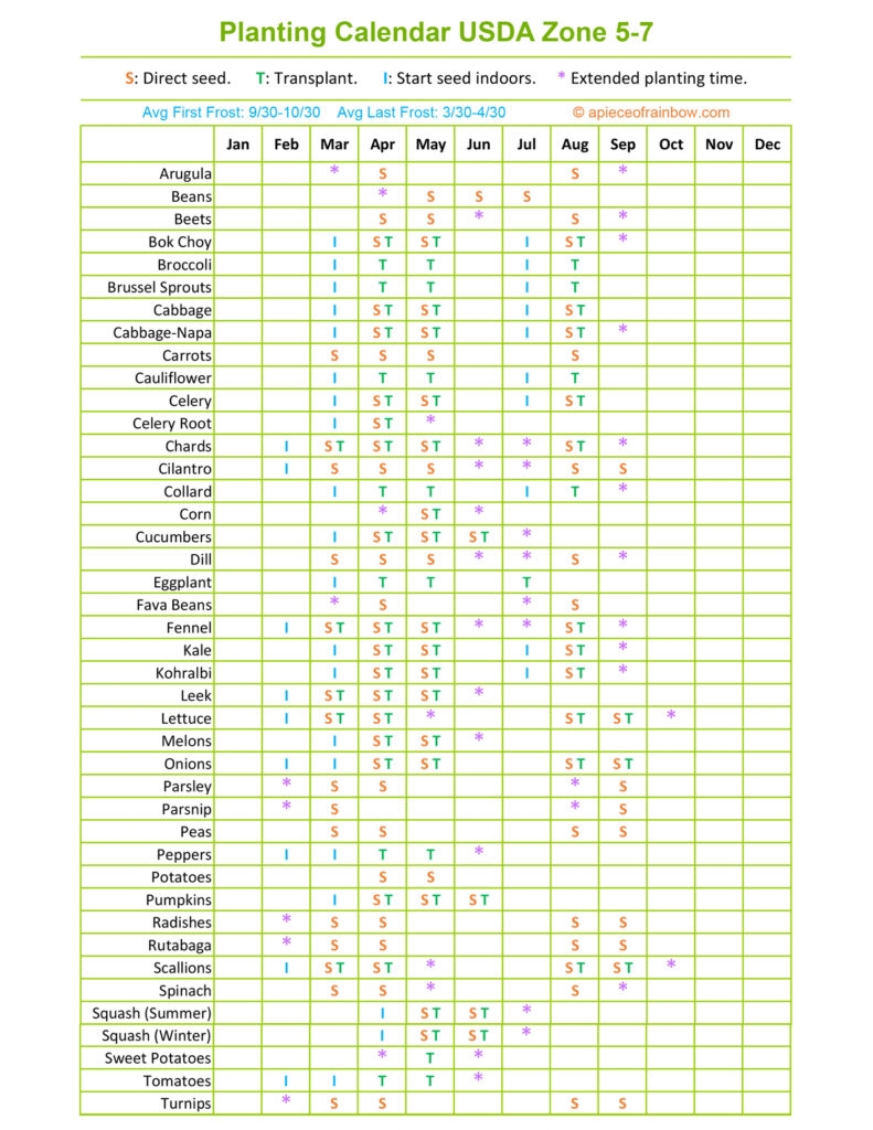 printable zone 6 planting schedule