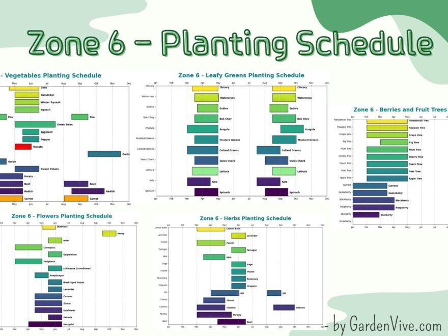 Zone 6 Planting Schedule Chart