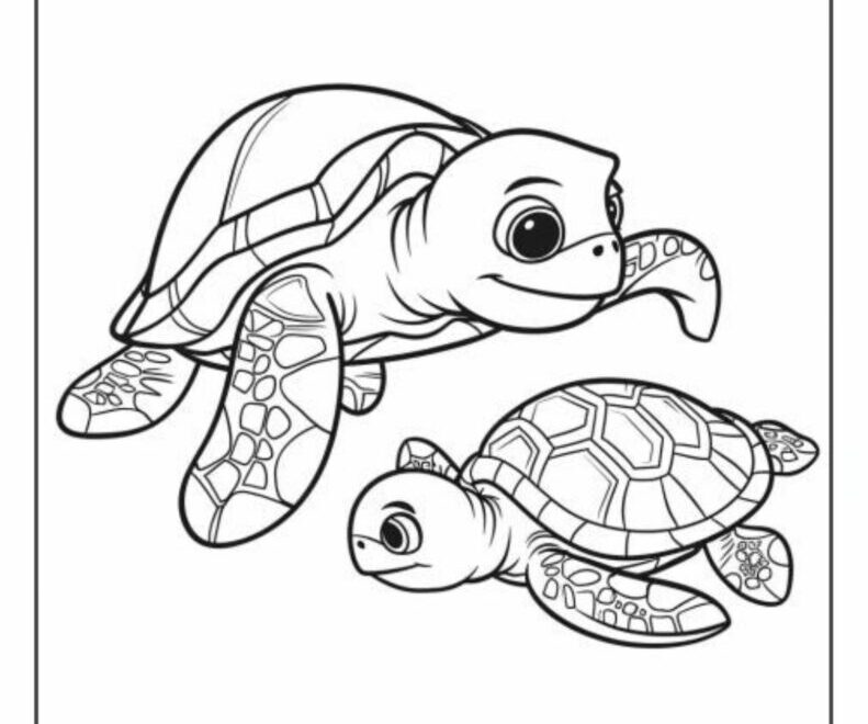 34 Turtle Coloring Pages Free Printable PDF Pages Smooth Draw