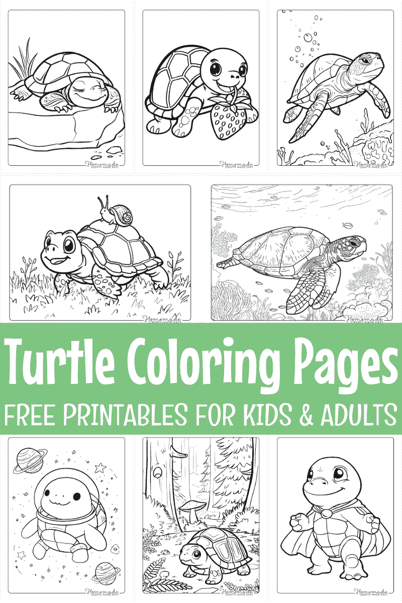 turtle coloring pages printable turtle coloring pages printable