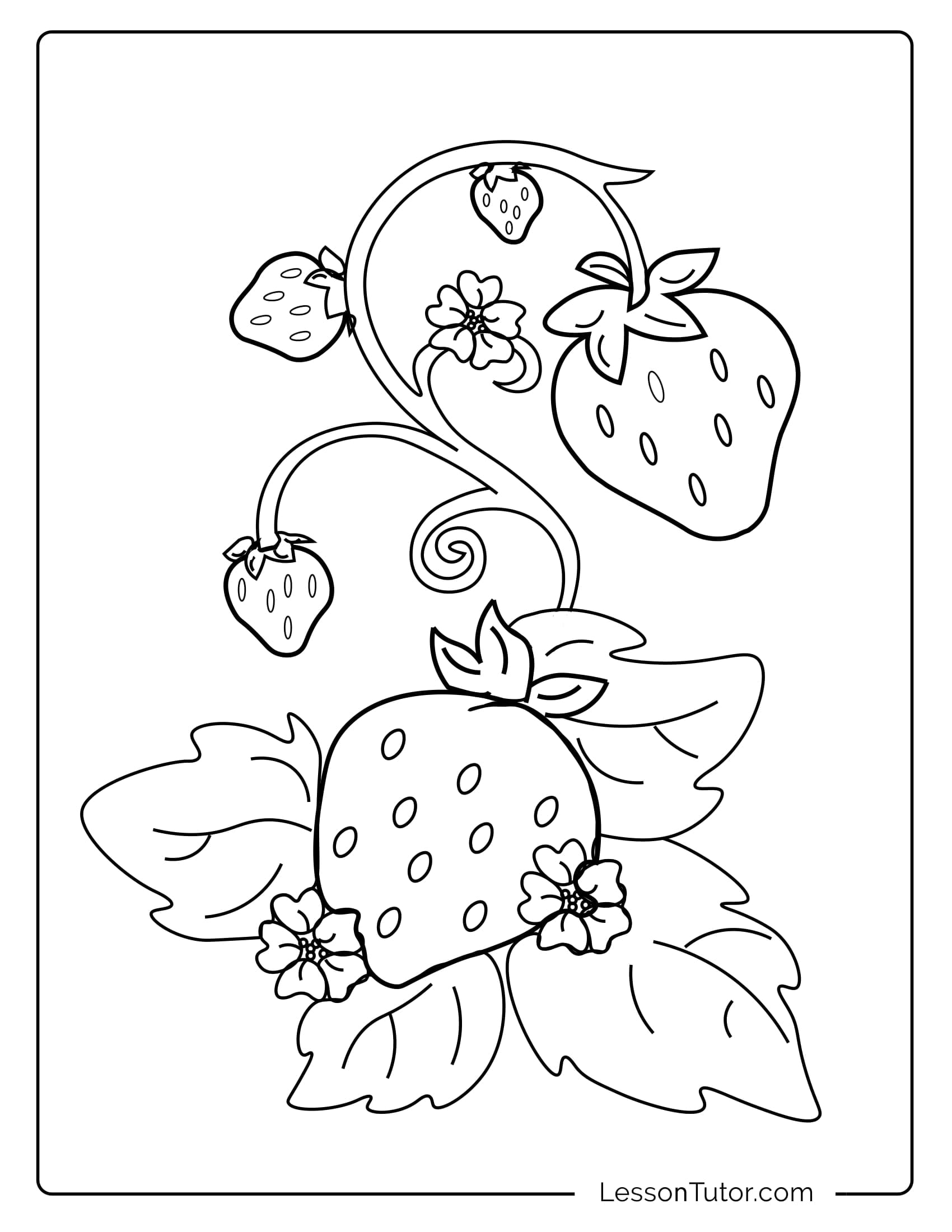 Strawberries Coloring Pages Lesson Tutor